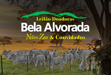 LEILÃO DOADORAS BELA ALVORADA NELORE ZAN & CONVIDADOS